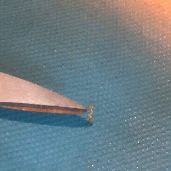 **SOLD**Tory Burch Summer Slouchy Hobo Natural / Juniper Berry Multi-Color Tote - Picture 12 of 14